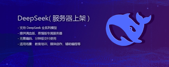 DeepSeek 服務(wù)器上架